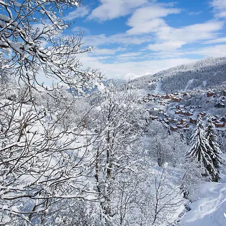 3 Pieces 7 Pers Skis Aux Pieds Avec Balcon - Fr-1-182-49 Apartment